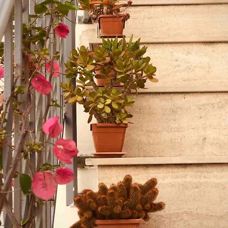 Artas La Tua Casa Indipendente A Alojamento de Acomodação e Pequeno-almoço Lecce